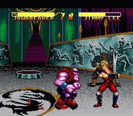 Double Dragon 5 The Shadow Falls